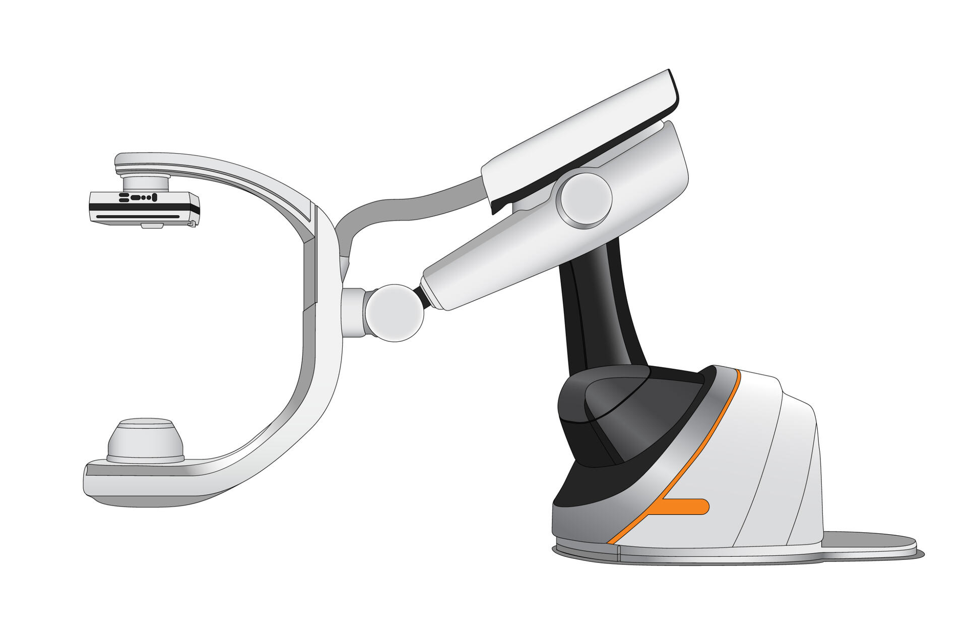 Scientific Illustration